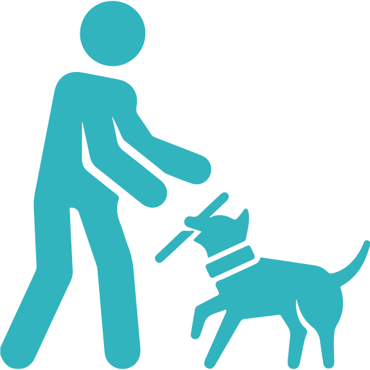 Pet Kingdom Asset