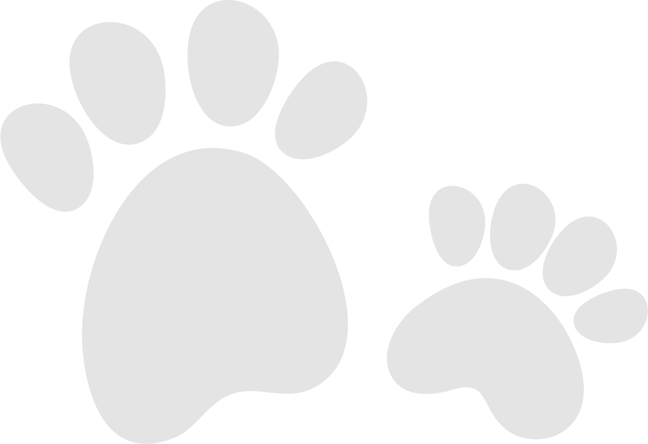 Pet Kingdom